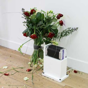 Simon Nicaise, And You Hit, Hit, Hit, Its Your Way Of Loving, 2010, Bouquet de fleurs, moteur, programmateur et présentoir, 45x 45 x 30 cm