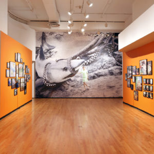 Beijing Silvermine, exhibition view at Chicago Museum of Contemporary Photography