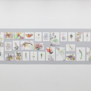 Wang Haiyang, Sex series, watercolor on paper, Ravage, Exhibition view